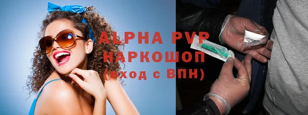 метадон Богданович